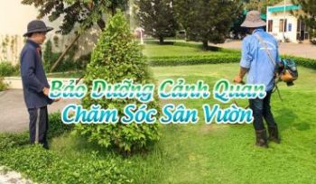 Bảo Dưỡng Cảnh Quan